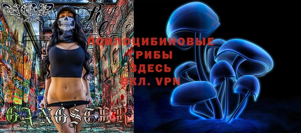 МДПВ Кедровый