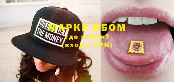 стафф Кирсанов