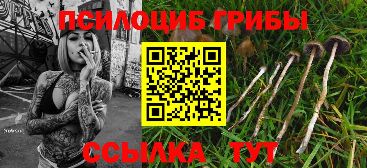 Псилоцибиновые грибы ЛСД Среднеуральск