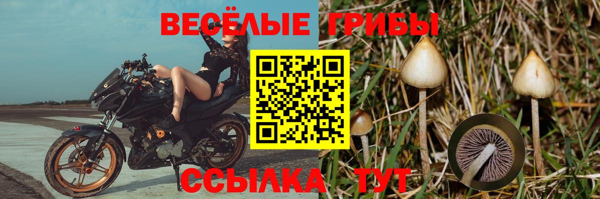 Галлюциногенные грибы MAGIC MUSHROOMS  Вход с VPN  Среднеуральск 